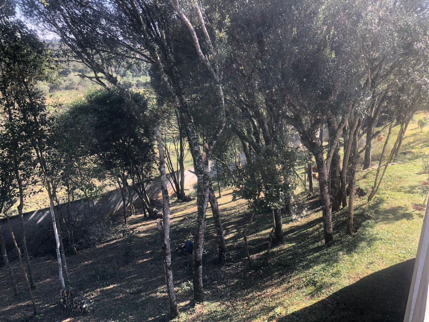 Casa de Condomínio, 3 quartos - Foto 44